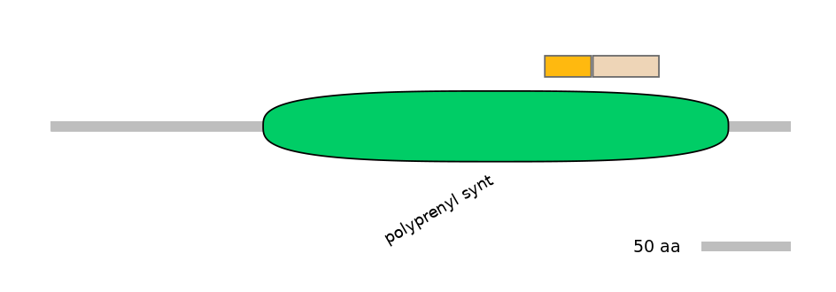 HsaINT0122728-EXC
