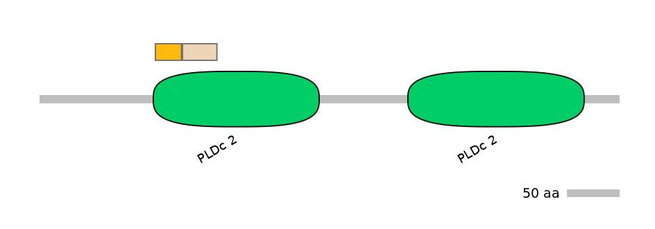 HsaINT0123713-EXC