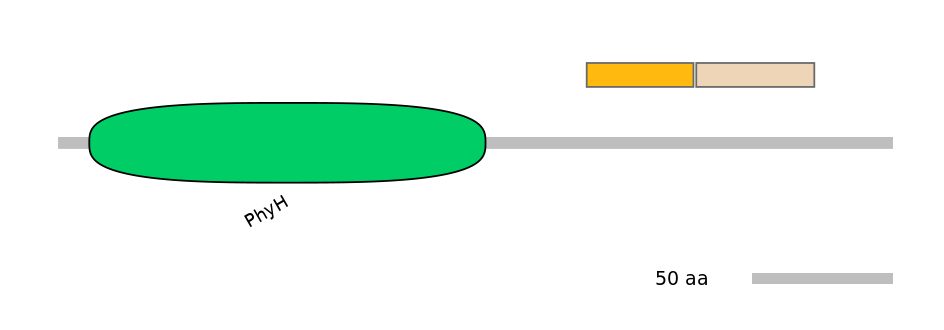 HsaINT0124456-EXC