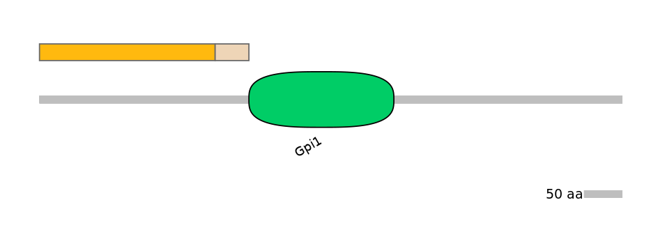 HsaINT0124818-EXC