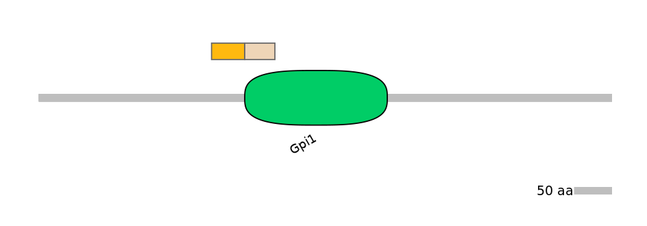 HsaINT0124819-EXC