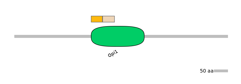 HsaINT0124820-EXC