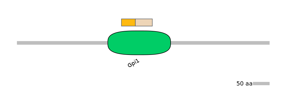 HsaINT0124821-EXC
