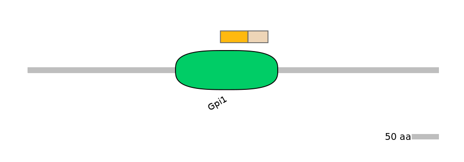 HsaINT0124822-EXC