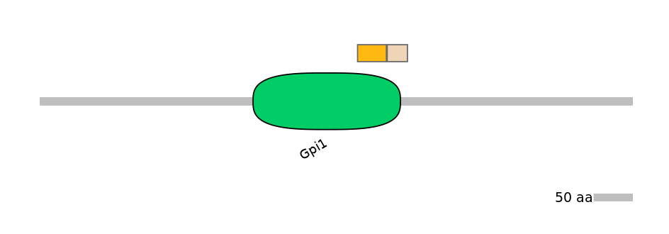 HsaINT0124823-EXC