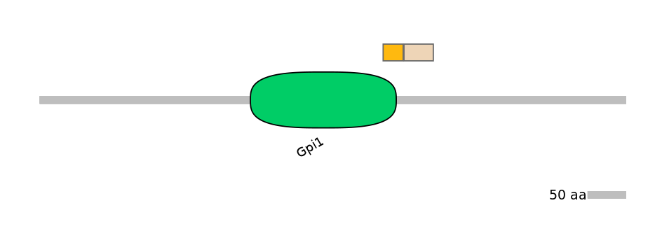 HsaINT0124824-EXC