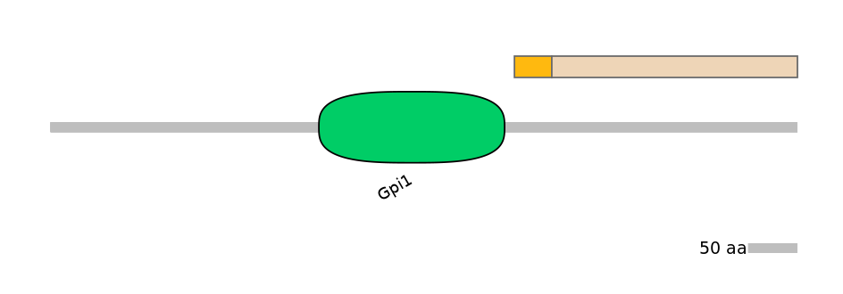 HsaINT0124825-EXC