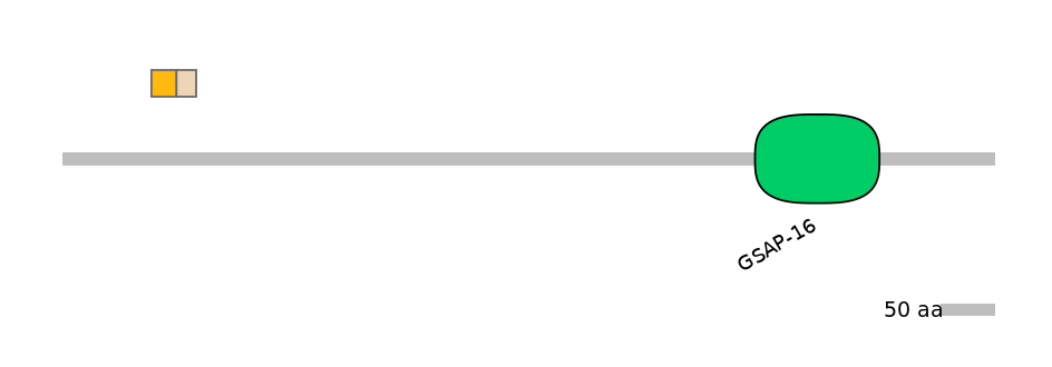 HsaINT0125330-EXC