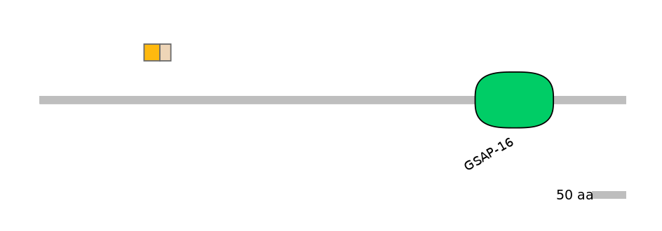 HsaINT0125333-EXC