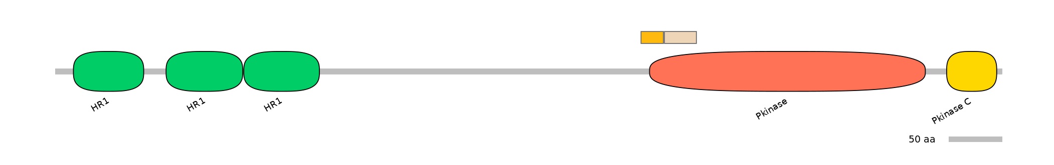 HsaINT0126163-EXC