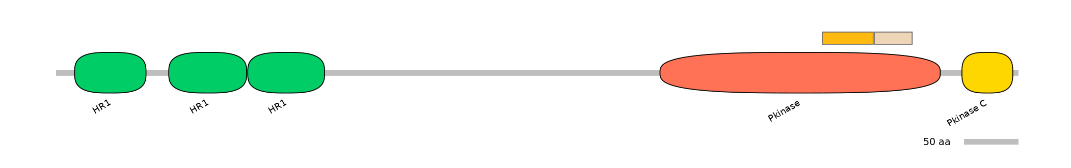 HsaINT0126168-EXC
