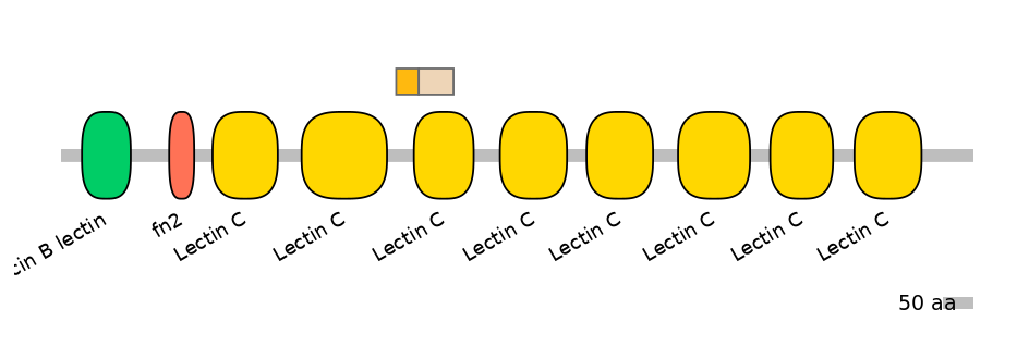 HsaINT0126443-EXC