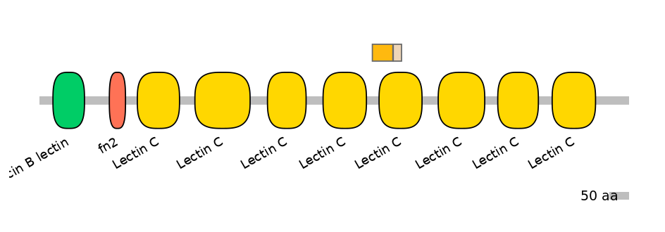 HsaINT0126450-EXC