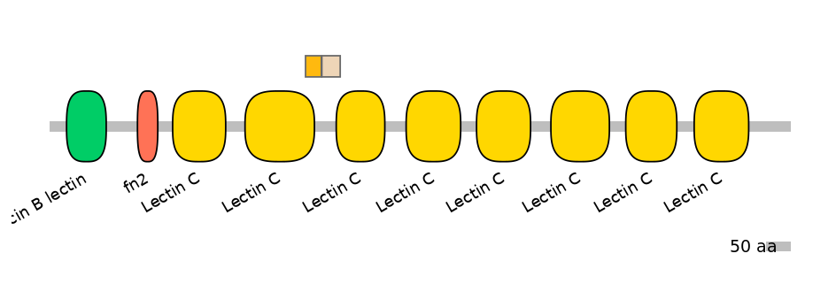 HsaINT0126469-EXC