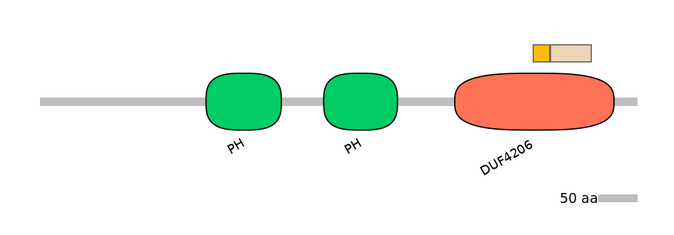 HsaINT0127523-EXC
