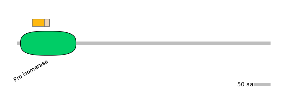 HsaINT0130260-EXC