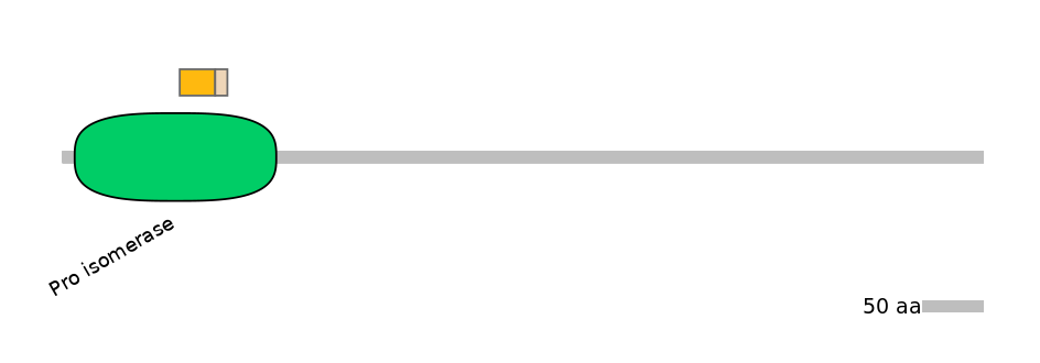 HsaINT0130262-EXC