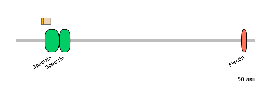 HsaINT0130409-EXC