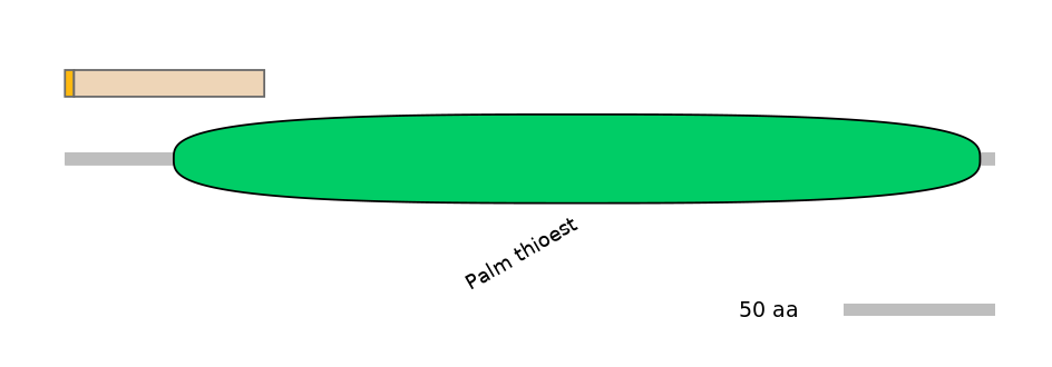 HsaINT0131197-EXC