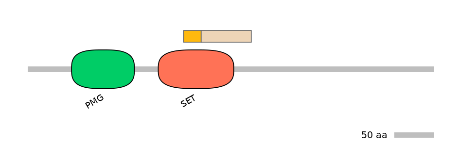HsaINT0131367-EXC