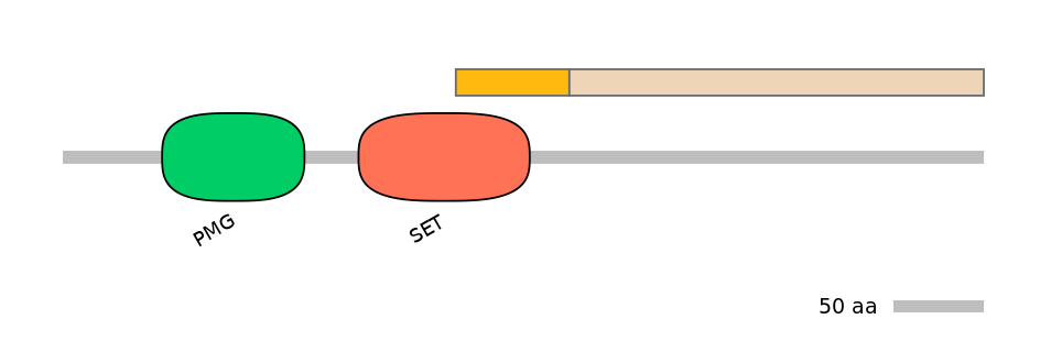 HsaINT0131368-EXC