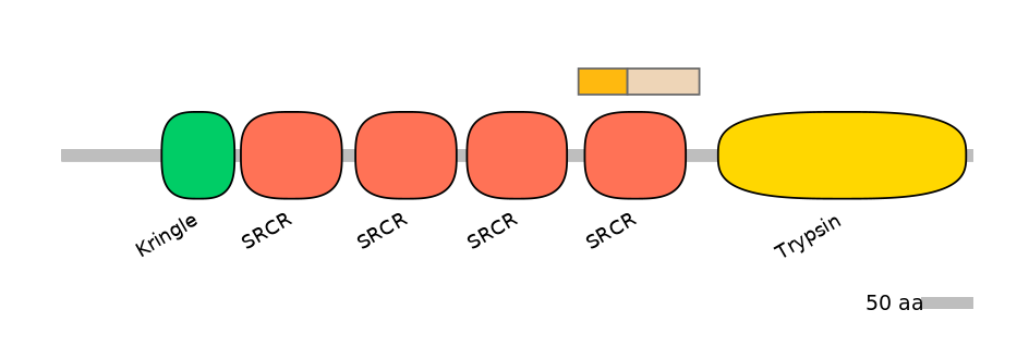 HsaINT0132934-EXC