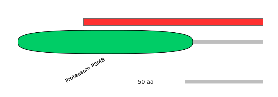 HsaINT0133602-INC