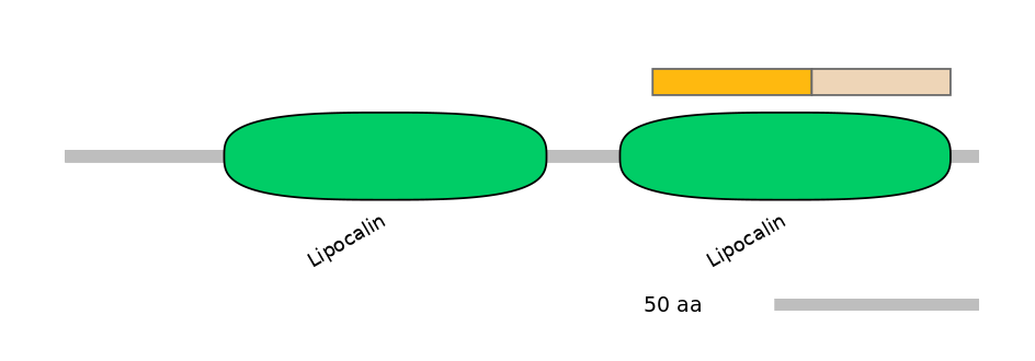HsaINT0133981-EXC