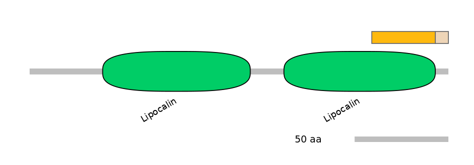 HsaINT0133982-EXC
