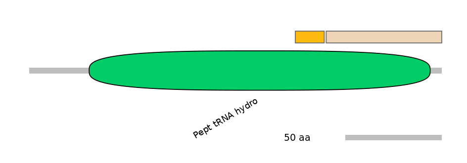 HsaINT0135220-EXC