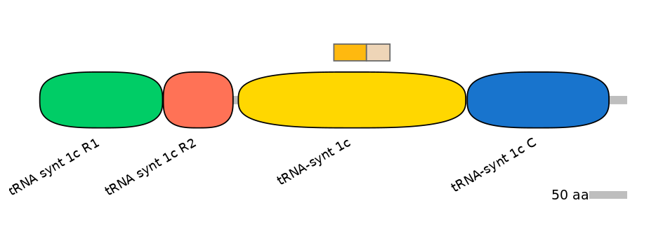 HsaINT0135702-EXC