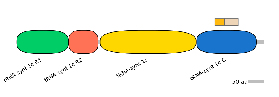 HsaINT0135709-EXC