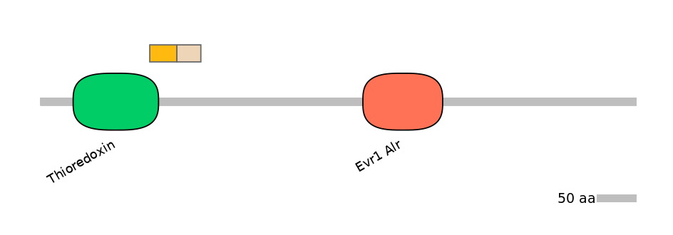 HsaINT0135810-EXC
