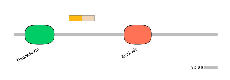 HsaINT0135812-EXC
