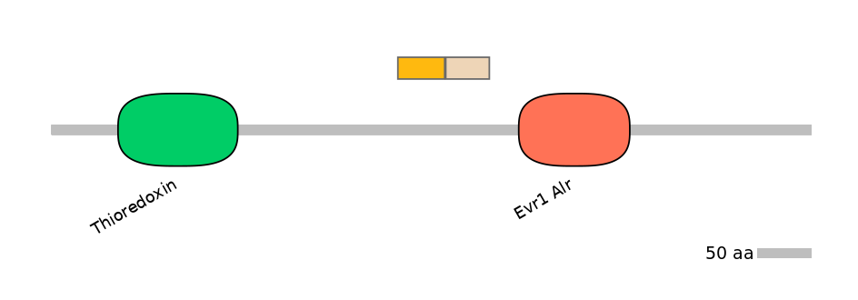 HsaINT0135825-EXC