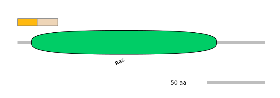 HsaINT0135970-EXC
