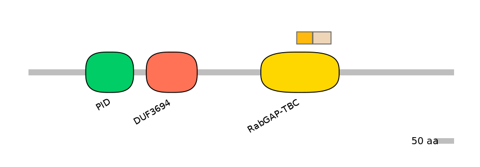 HsaINT0136382-EXC