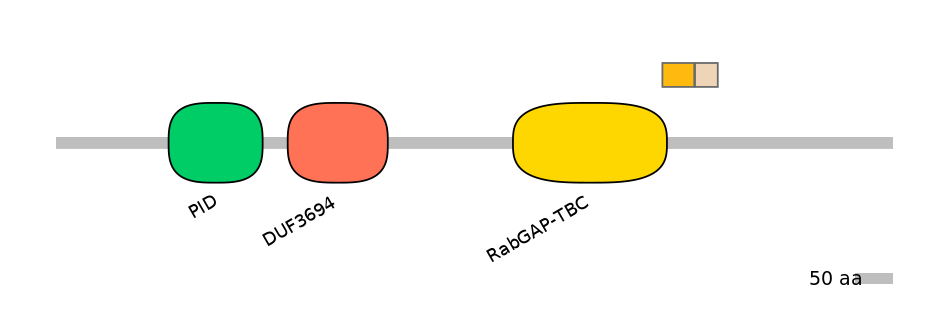 HsaINT0136385-EXC