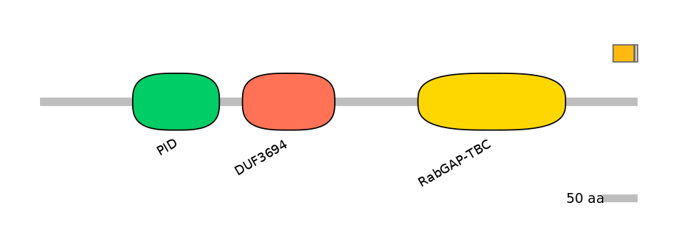 HsaINT0136402-EXC