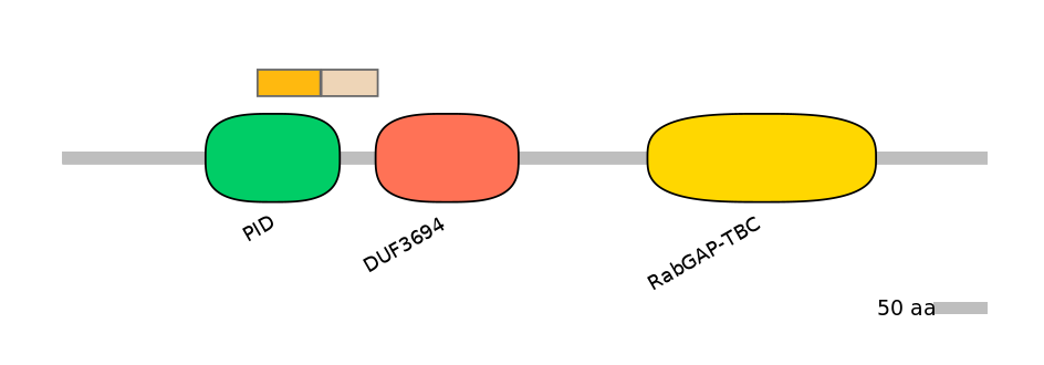 HsaINT0136417-EXC