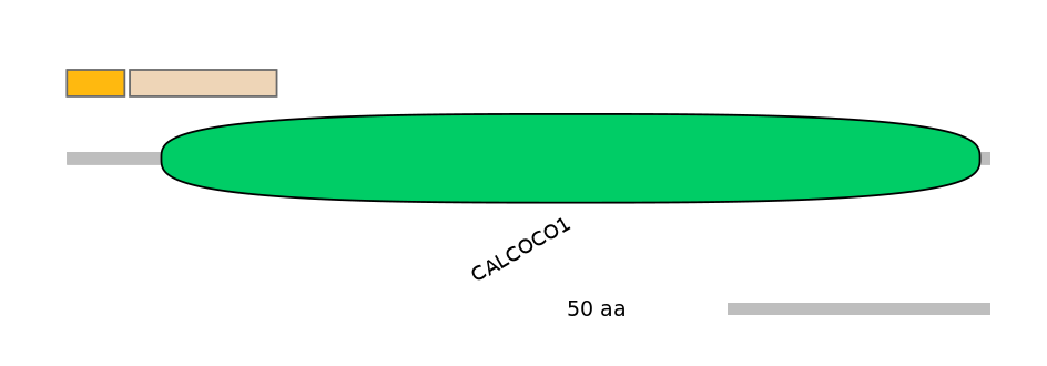 HsaINT0136508-EXC