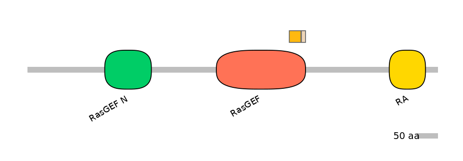 HsaINT0137000-EXC