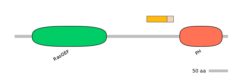 HsaINT0137033-EXC