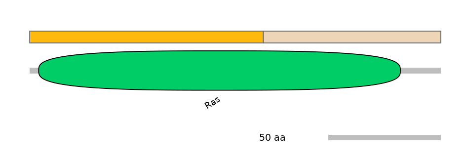HsaINT0137307-EXC