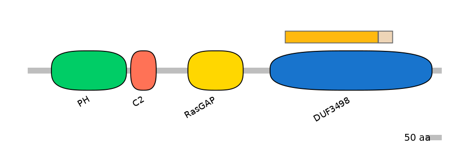 HsaINT0137701-EXC