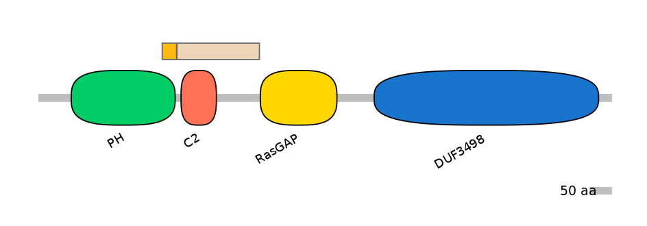 HsaINT0137708-EXC