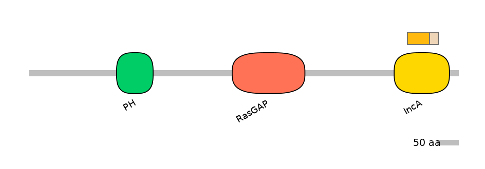 HsaINT0137723-EXC