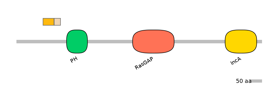 HsaINT0137726-EXC