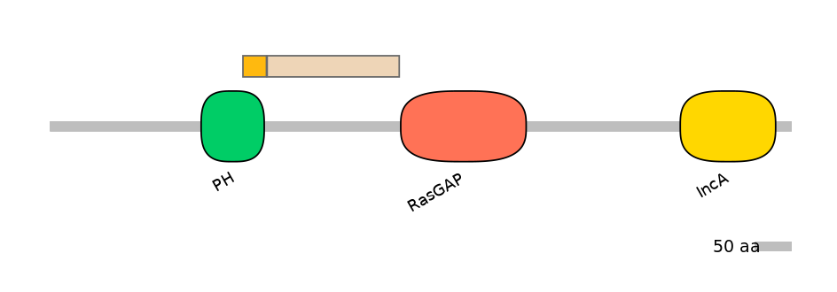 HsaINT0137731-EXC