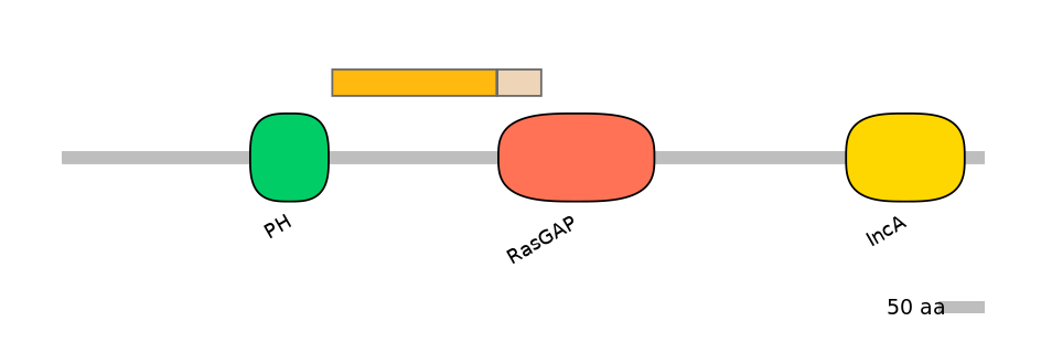 HsaINT0137732-EXC